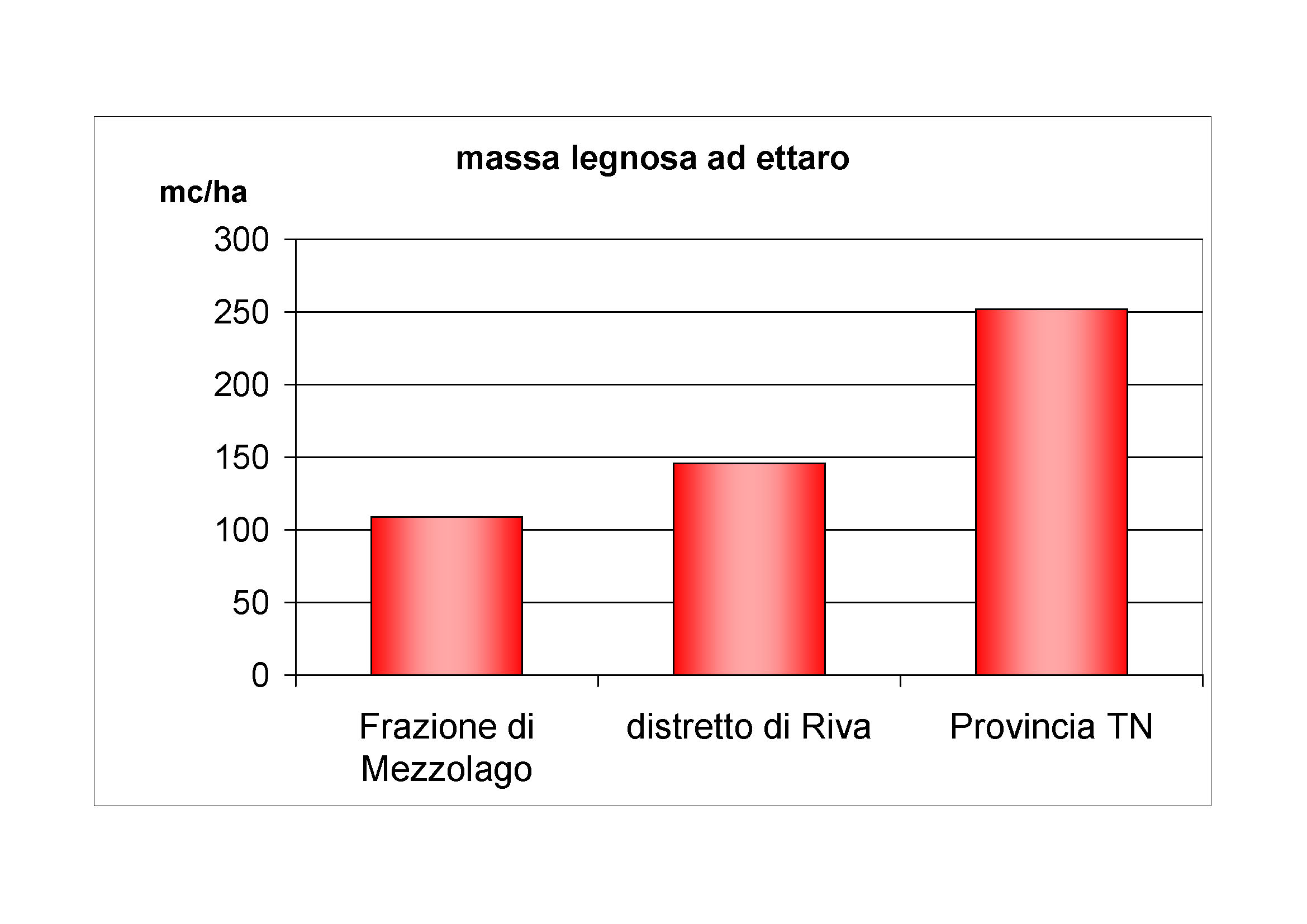 Massa legnosa ad ettaro